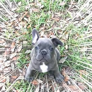 Meet your Posher, Allan